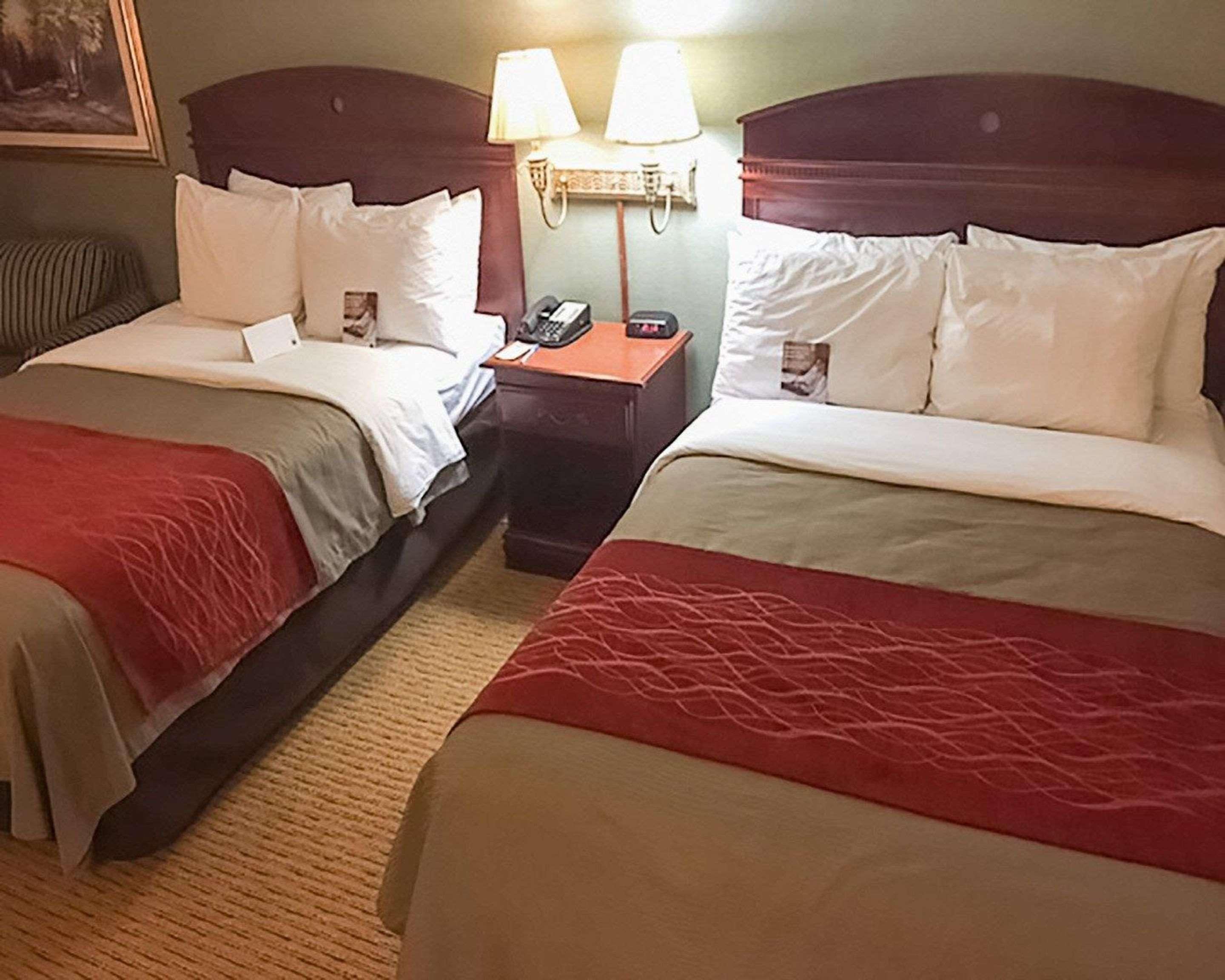 Comfort Inn Springfield Zewnętrze zdjęcie